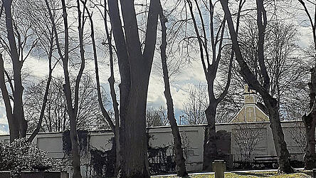 Stiller Zeuge einer dunklen Zeit: Bis heute steht am Ehrenmal für die Gefallenen vor dem Mainburger Friedhof die sogenannte Hitlereiche.