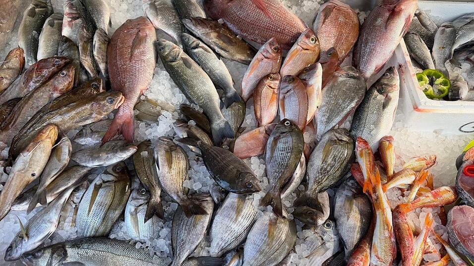 Frischen Fisch erkennt man unter anderen an den klaren, gl&auml;nzenden Augen.