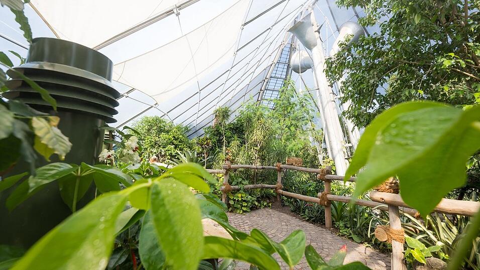 Der Umbau hat nach Angaben des Tierparks etwa 11 Millionen Euro gekostet.