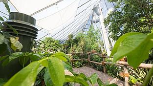 Der Umbau hat nach Angaben des Tierparks etwa 11 Millionen Euro gekostet.