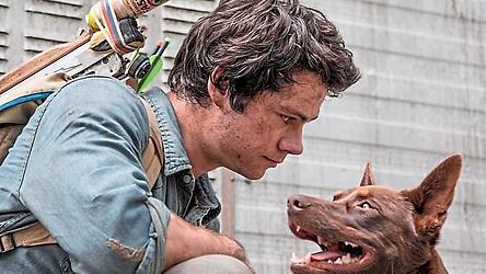 Gemeinsam stark: Joel (Dylan O'Brien) und Boy