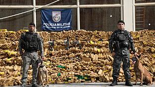Fast 50 Tonnen Marihuana hat die Polizei in der brasilianischen Millionenmetropole Rio de Janeiro sichergestellt. Fast 50 Tonnen Marihuana hat die Polizei in der brasilianischen Millionenmetropole Rio de Janeiro sichergestellt.