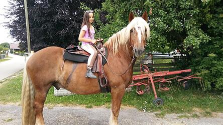 Ein seltener Moment: Autorin Selina Wolf als Kind auf einem Pferd ihrer Familie. Früher hat sie sich vor den großen Tieren gefürchtet.