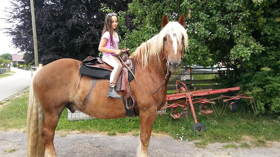 Ein seltener Moment: Autorin Selina Wolf als Kind auf einem Pferd ihrer Familie. Fr&uuml;her hat sie sich vor den gro&szlig;en Tieren gef&uuml;rchtet.