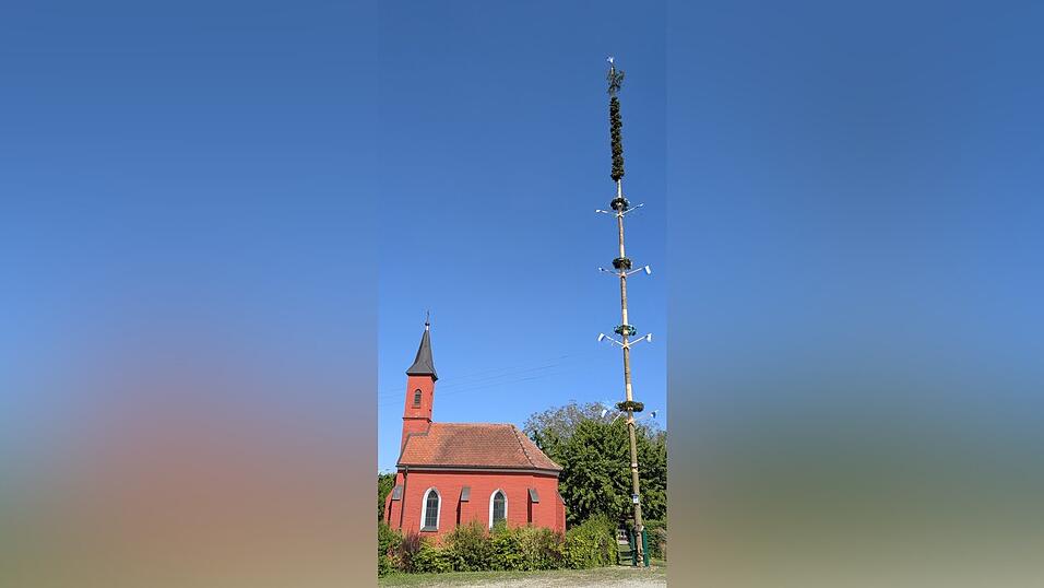 Frisch geschlagen steht er da, der Maibaum in Hösacker neben der Kapelle ' Immaculata'. Frisch geschlagen steht er da, der Maibaum in Hösacker neben der Kapelle ' Immaculata'.