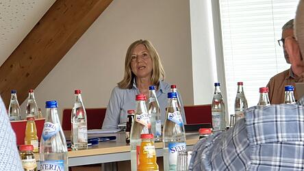Die stellvertretende Geschäftsführerin des ZV, Marion Demberger, erläuterte dem Gemeinderat ausführlich die Vorteile der Zusammenarbeit.