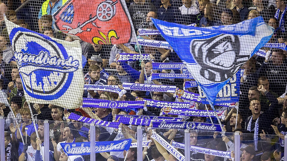 Die Fans der Straubing Tigers.
