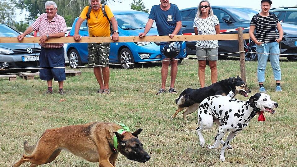 Spannend war es bei den Hunderennen. Spannend war es bei den Hunderennen.
