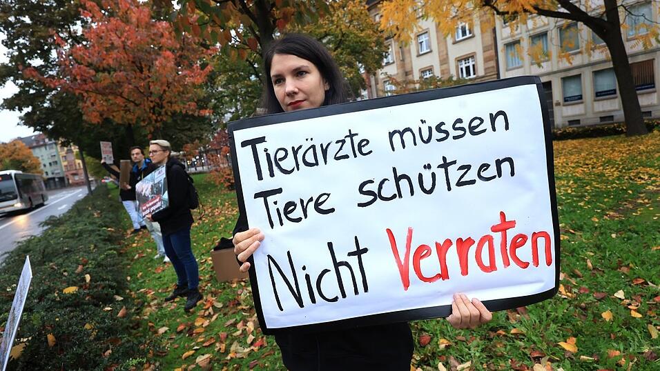 Auf Schlachthöfen im Landkreis Miltenberg und in Aschaffenburg soll es Tierrechtsverstöße gegeben haben - Tierschützer protestierten daraufhin im Herbst 2024 vor dem Landgericht Aschaffenburg. (Archivbild)
