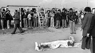 Der Mord an dem Regisseur Pier Paolo Pasolini beschäftigt Italien auch noch nach 50 Jahren. (Archivbild)