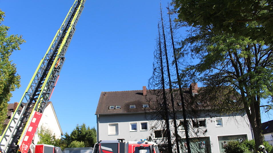Drei Fichten brannten bei Trockenheit schnell ab. Drei Fichten brannten bei Trockenheit schnell ab.