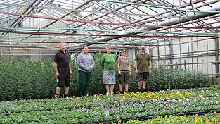Schnittchrysanthemen (hinten) und Veilchen werden in den Gew&auml;chsh&auml;usern f&uuml;r Allerheiligen angebaut. Das Team um Ludwig Kerscher (v.l.), Gina-Maria Bielmeier, Ursula Schindele-Abiad, Cornelia St&ouml;ckl und Florian Kerscher will zuk&uuml;nftig auf mehr Eigenproduktion setzen.