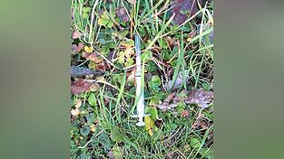 Spritzenfund: Wiederholt hinterlässt ein Unbekannter Drogenutensilien am Spielplatz. Spritzenfund: Wiederholt hinterlässt ein Unbekannter Drogenutensilien am Spielplatz.