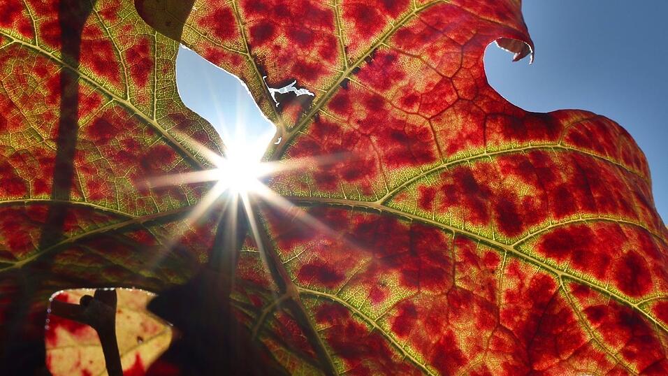 Großteils freundliche Herbsttage stehen in Bayern bevor. Großteils freundliche Herbsttage stehen in Bayern bevor.