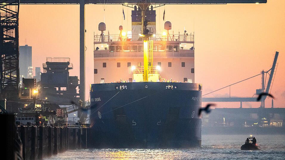 Das Spezialschiff 'Pacific Grebe' legt im Hafen an. Das aus Großbritannien kommende Schiff hat sieben Castor-Behälter mit hoch radioaktivem Atomabfall an Bord.