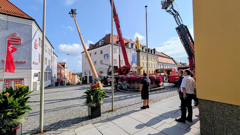 &Uuml;berragend: Umgeben von allerlei Get&uuml;rm war die Marienstatue vor dem Rathaus am Donnerstagvormittag.