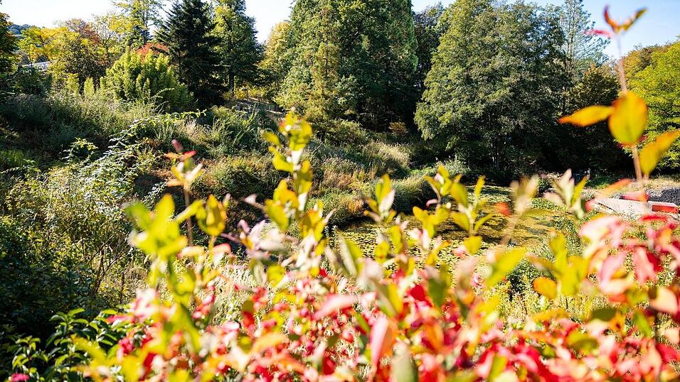 Im S&uuml;den Deutschlands werden H&ouml;chstwerte um die 23 Grad erwartet.