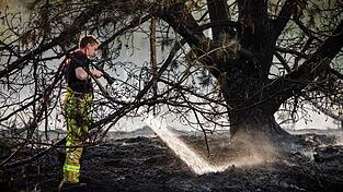 Zur Bek&auml;mpfung der Flammen baten die Niederlande nach Angaben der Beh&ouml;rden zum ersten Mal auch andere L&auml;nder um Hilfe.