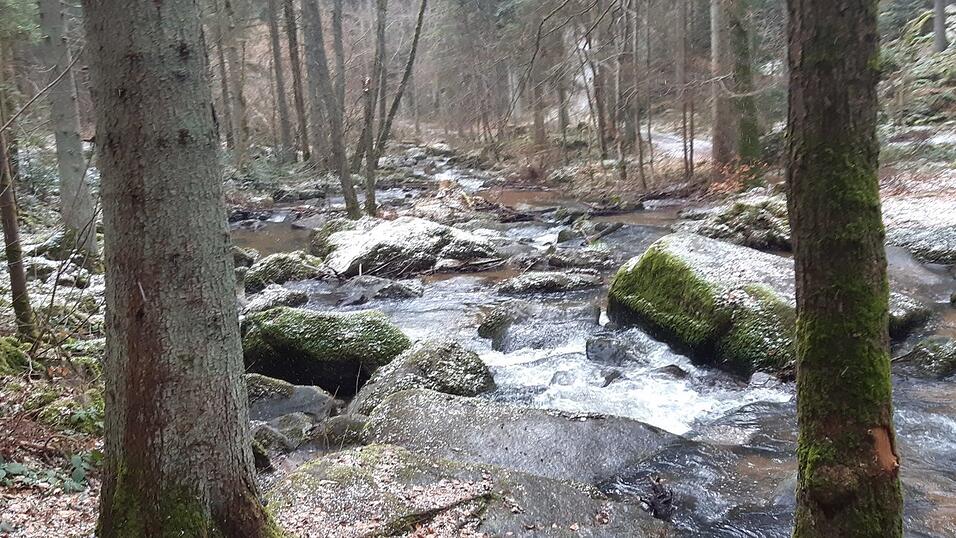 Frühlingsbeginn im Otterbachtal.