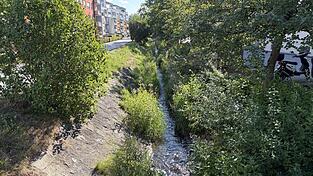 Der Hochwasserschutz f&uuml;r den Hammerm&uuml;hlbach ist beschlossene Sache.