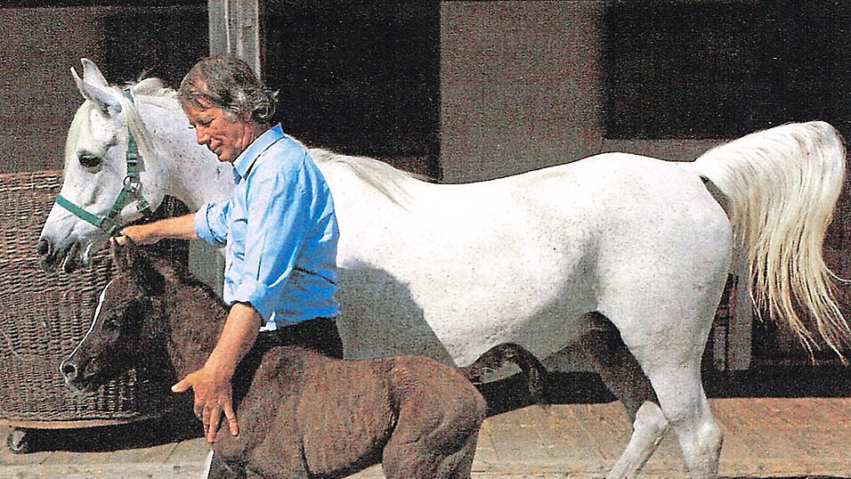 Mit Nika, einer der, so Peter Thein, 'sch&ouml;nsten Stuten des Ganslbergs' und ihrem wenige Tage alten Fohlen, 1984.