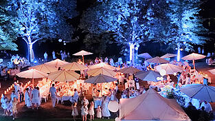 Der Park verwandelte sich beim Weißen Dinner in einen illuminierten Märchenwald. Der Park verwandelte sich beim Weißen Dinner in einen illuminierten Märchenwald.