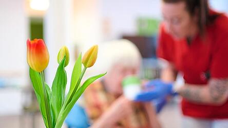 &Uuml;ber bestehende Strukturen und Entwicklungsm&ouml;glichkeiten im Bereich Pflege soll bei einer Konferenz diskutiert werden.
