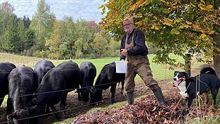 Im Herbst füttert Josef Koller seine Angus-Rinder mit Kastanien. Immer an seiner Seite: Resi, eine aufgeweckte Appenzeller Sennenhündin. Im Herbst füttert Josef Koller seine Angus-Rinder mit Kastanien. Immer an seiner Seite: Resi, eine aufgeweckte Appenzeller Sennenhündin.
