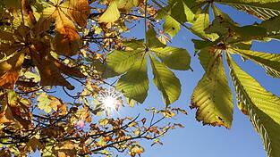 In den nächsten Tagen kann in Bayern noch einmal die Sonne genossen werden. (Symbolbild) In den nächsten Tagen kann in Bayern noch einmal die Sonne genossen werden. (Symbolbild)