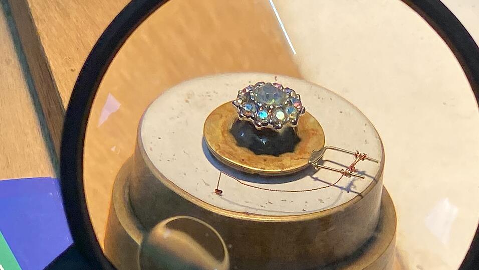 Der kleine Floh auf dem Karussell unter der Lupe.