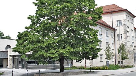 Die Berufungsverhandlung zur häuslichen Gewalt wurde vertagt. Die Berufungsverhandlung zur häuslichen Gewalt wurde vertagt.