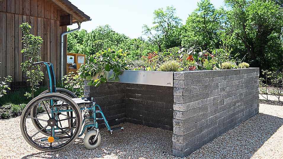 Hochbeete ermöglichen rückenschonendes Arbeiten und sind so bis ins hohe Alter eine Option für den Obst- und Gemüseanbau im heimischen Garten. Es gibt auch Hochbeete - wie auf diesem Bild - eigens für Menschen im Rollstuhl, ähnlich die sogenannten Tischbeete. Hochbeete ermöglichen rückenschonendes Arbeiten und sind so bis ins hohe Alter eine Option für den Obst- und Gemüseanbau im heimischen Garten. Es gibt auch Hochbeete - wie auf diesem Bild - eigens für Menschen im Rollstuhl, ähnlich die sogenannten Tischbeete.