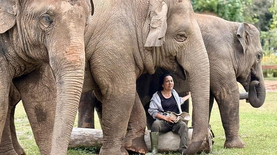 Oft singt Lek ihren Elefanten Schlaflieder, um sie zu beruhigen. Oft singt Lek ihren Elefanten Schlaflieder, um sie zu beruhigen.