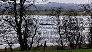 Jetzt soll auch die Wasserqualit&auml;t gepr&uuml;ft werden.