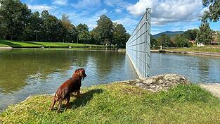 Zur Pflege des Seeparks wird eine Schutzwasser-Tauchpumpe angeschafft.