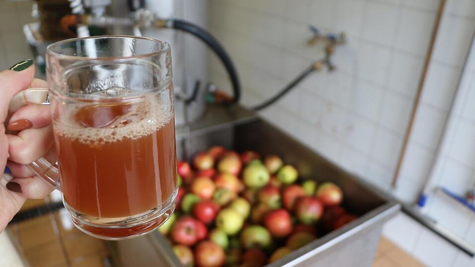 Wie wird aus Obst Saft? In der vereinseigenen Kelterei zeigen OGV-Mitglieder, wie es geht.