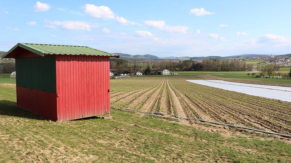 Das neue Erdbeerfeld ist bereits hergerichtet und wartet auf seine Gäste. Das neue Erdbeerfeld ist bereits hergerichtet und wartet auf seine Gäste.