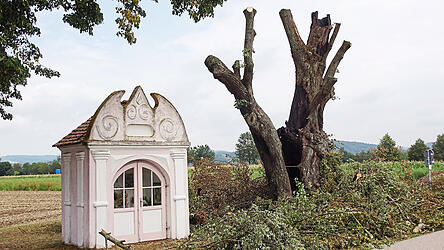 In diese Linde neben der Kapelle bei Kiefenholz hat in der Nacht auf Mittwoch der Blitz eingeschlagen.