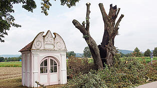 In diese Linde neben der Kapelle bei Kiefenholz hat in der Nacht auf Mittwoch der Blitz eingeschlagen. In diese Linde neben der Kapelle bei Kiefenholz hat in der Nacht auf Mittwoch der Blitz eingeschlagen.