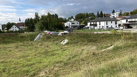 Das große Rückhaltebecken in Walkertshofen und das kleinere Becken auf der anderen Seite der Spitzauer Straße werden geräumt. Der Gemeinderat gab dafür jetzt den entsprechenden Auftrag.