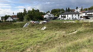 Das große Rückhaltebecken in Walkertshofen und das kleinere Becken auf der anderen Seite der Spitzauer Straße werden geräumt. Der Gemeinderat gab dafür jetzt den entsprechenden Auftrag.