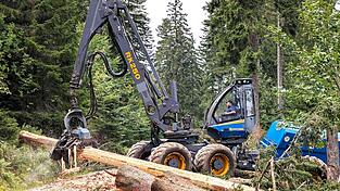 Mit 350 PS und dem Debarking-Aggregat am Stamm entrindet Heinz Adam aus Bodenmais die tonnenschweren Fichten.
