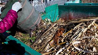 Eine Frau entleert Gr&uuml;nschnitt aus einem Falteimer in einen Container auf dem Gel&auml;nde eines Wertstoffhofs. Manchmal landen in solchen Containern auch Dinge, die nicht hineingeh&ouml;ren.