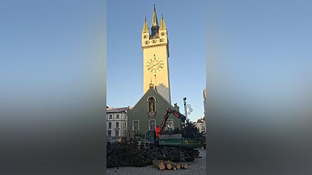 Am Dienstagmorgen ist der Christbaum zerkleinert und abtransportiert worden.