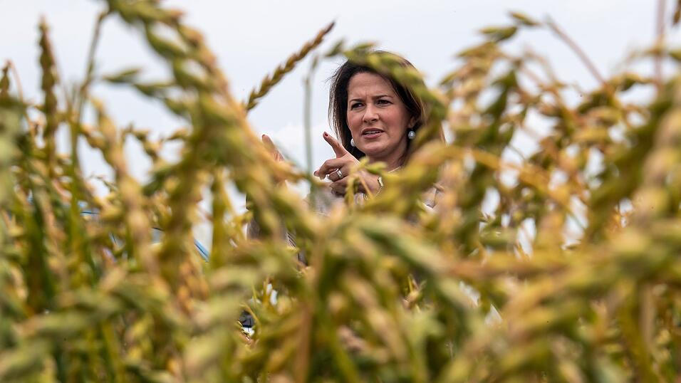 Wie läuft's denn auf dem Hof? Das wollte Landwirtschaftsministerin Michaela Kaniber von den Bäuerinnen im Land wissen. Knapp 2 300 haben in einer Studie ausführlich geantwortet. Wie läuft's denn auf dem Hof? Das wollte Landwirtschaftsministerin Michaela Kaniber von den Bäuerinnen im Land wissen. Knapp 2 300 haben in einer Studie ausführlich geantwortet.
