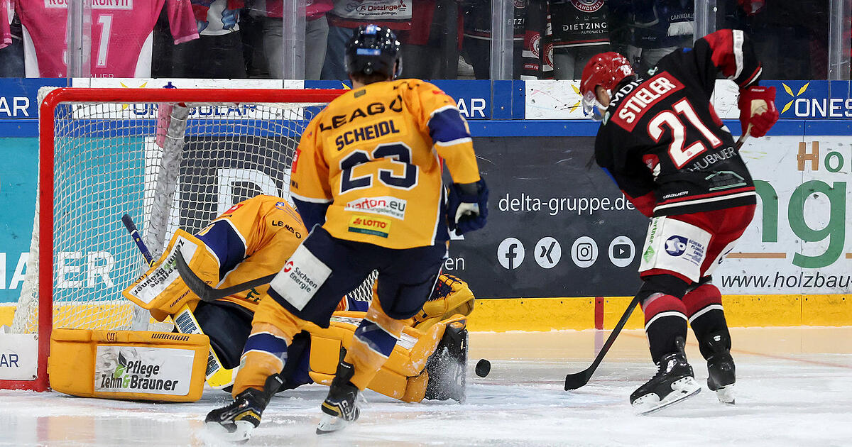 125x125 www.idowa.de