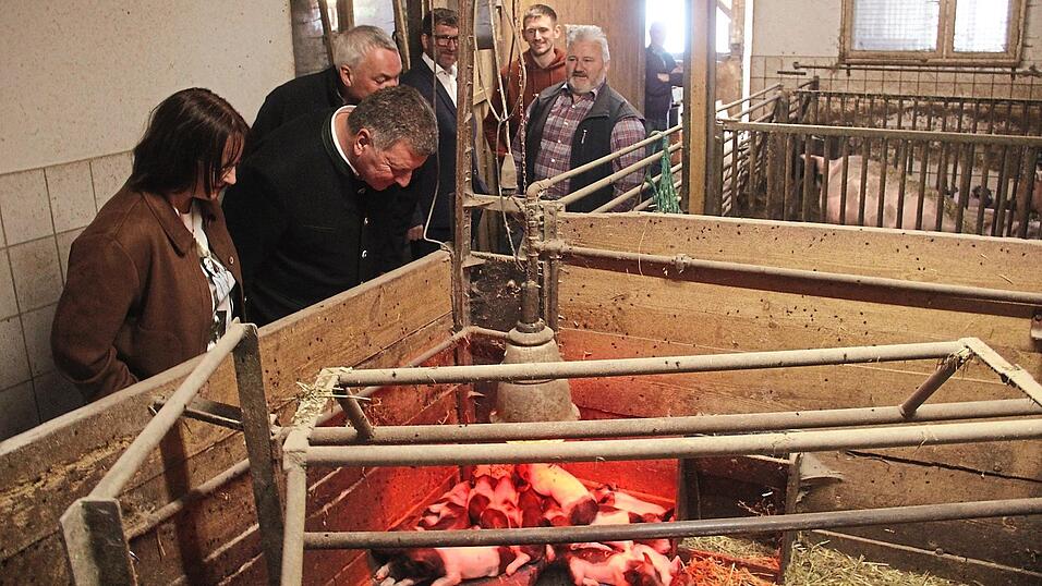 Die Ferkel wurden erst vor ein paar Tagen geboren. Um sie zu sch&uuml;tzen, sind sie von der Mutter abgetrennt, erkl&auml;rt Karin Bernauer dem Staatsminister Christian Bernreiter. Mit auf dem Bild: Michael Klampfl, G&uuml;nther Bernauer, B&uuml;rgermeister Alois Oswald und Kevin Bernauer (v.l.).