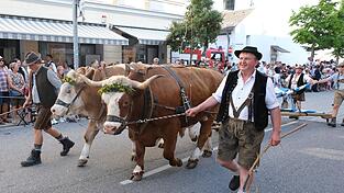 Mit dem traditionellen Auszug zum Festplatz am Hagen hat am Freitagabend wieder die elftägige „fünfte Jahreszeit“ in Straubing begonnen. Mit dem traditionellen Auszug zum Festplatz am Hagen hat am Freitagabend wieder die elftägige „fünfte Jahreszeit“ in Straubing begonnen.