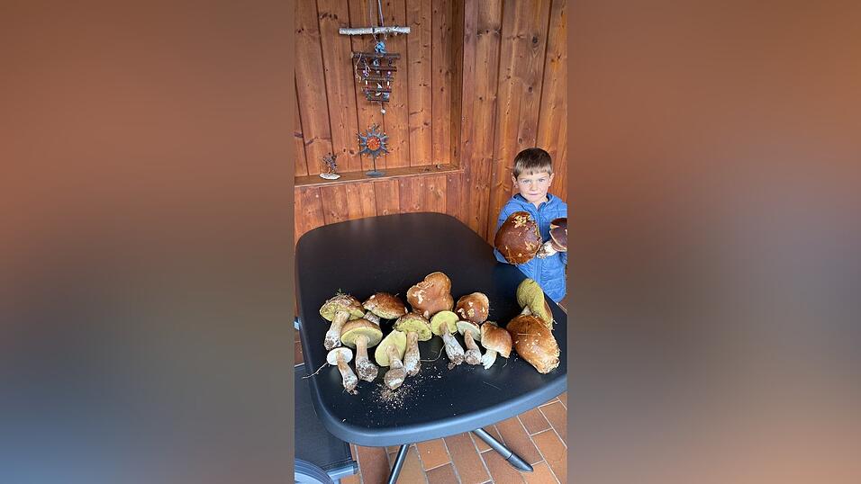 Der fünfjährige Sebastian aus Zifling zeigt ganz stolz seinen unerwarteten, spontanen Fund seiner Steinpilze, die er mit seinem Opa gefunden hat. Der fünfjährige Sebastian aus Zifling zeigt ganz stolz seinen unerwarteten, spontanen Fund seiner Steinpilze, die er mit seinem Opa gefunden hat.