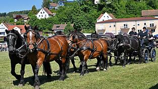 Sechsp&auml;nnig bis von Unterzettling kam die Familie Seidl.